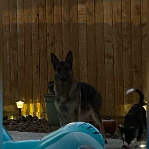 Meet your Posher, Reva